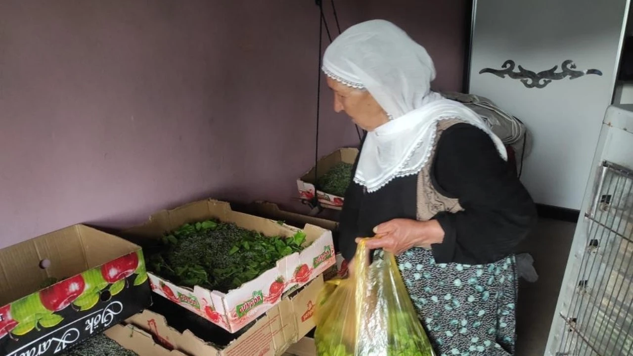 Sason’da 72 Aileye İpek Böceği Larvası Dağıtıldı