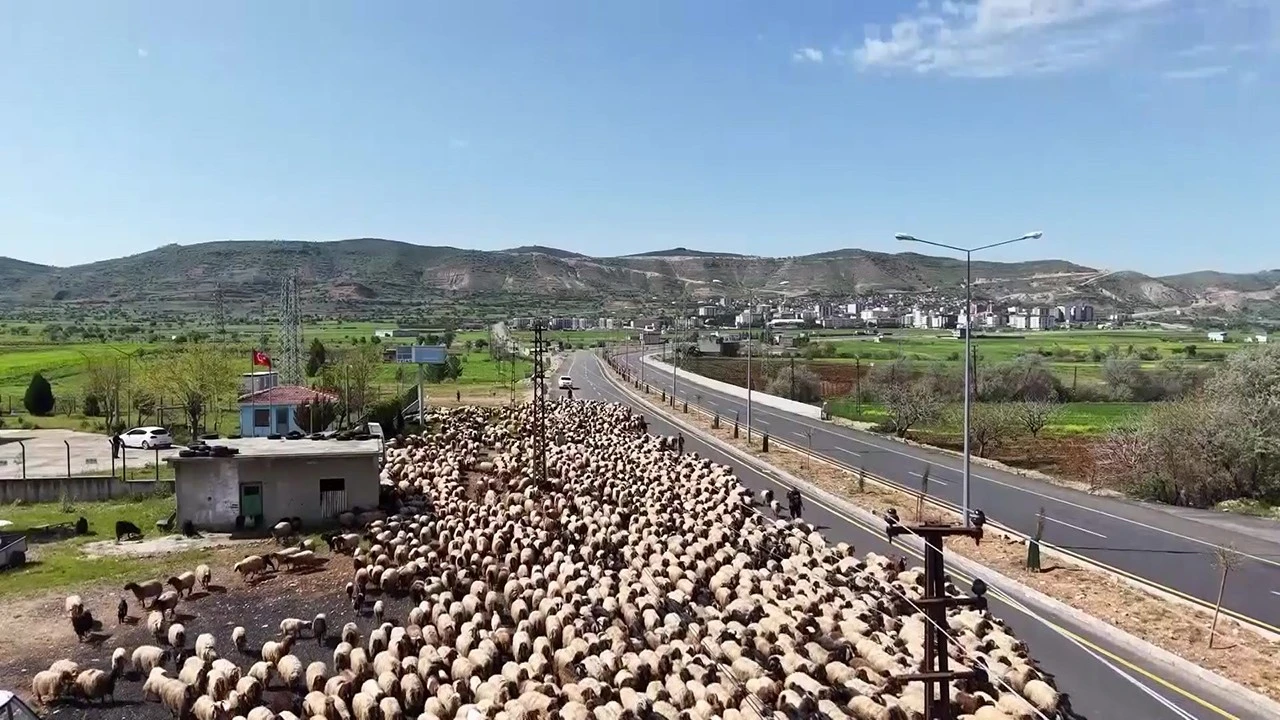 Zorlu Göç Yolculuğu Başladı