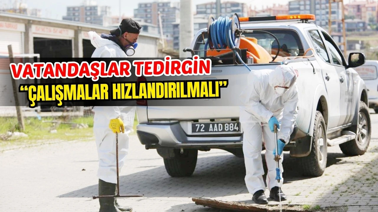 Sıcak Havalarda İlaçlama Çalışmaları Bekleniyor