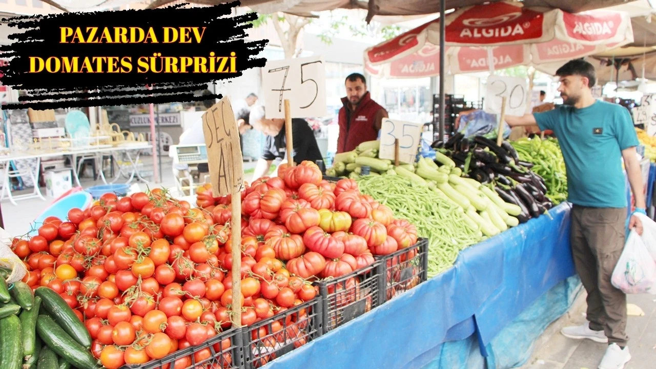 Alo Tevşo Pazarı’nda Dev Domatesler İlgi Görüyor