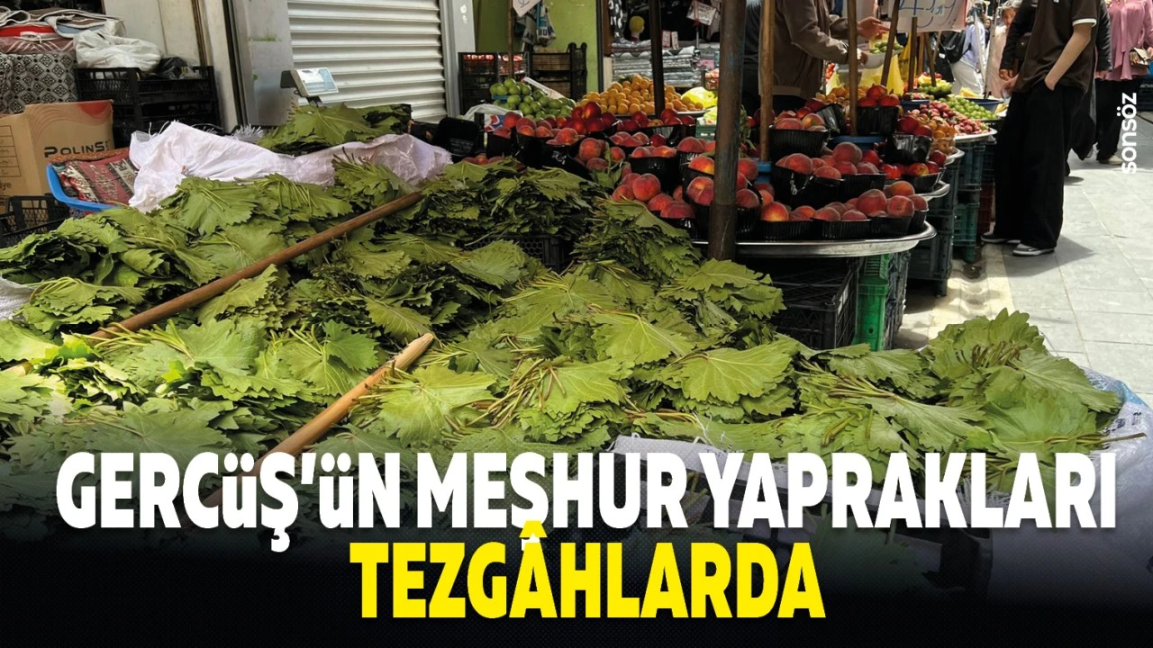 Gercüş’te Üzüm Yaprakları Pazarda Satışa Sunuluyor