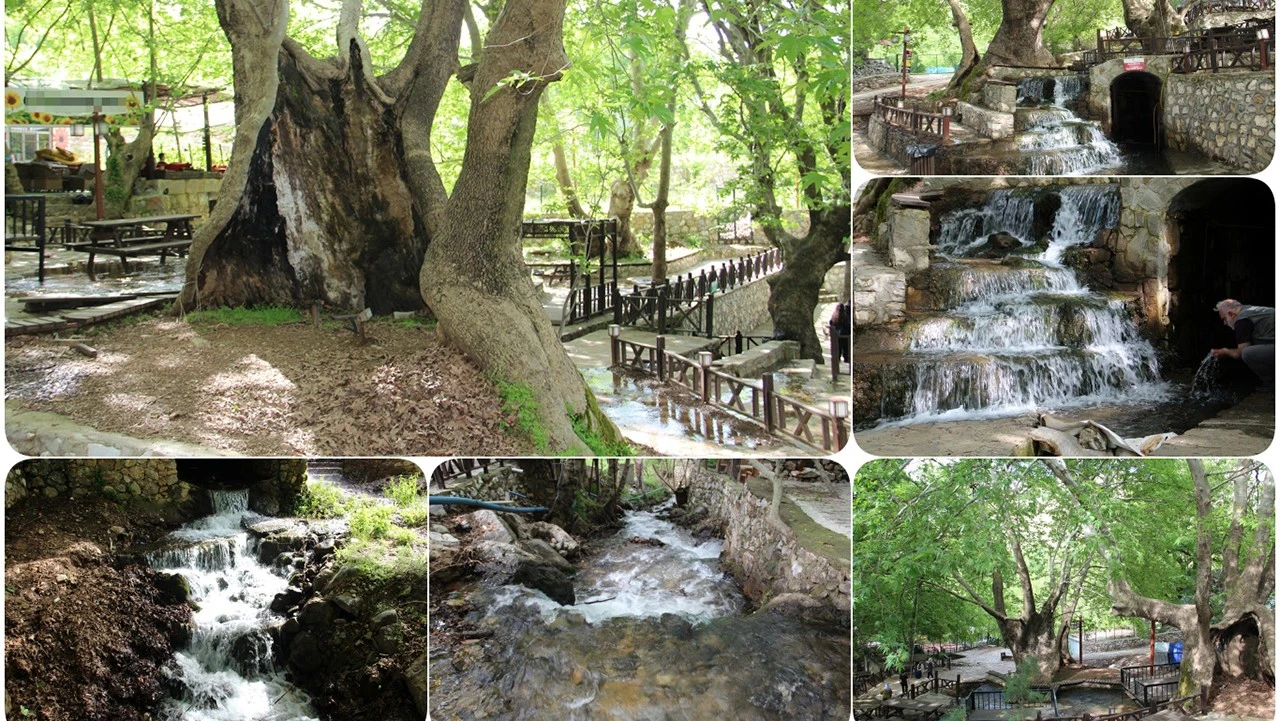 Sevek Mesire Alanı Baharın Güzellikleriyle Dolu