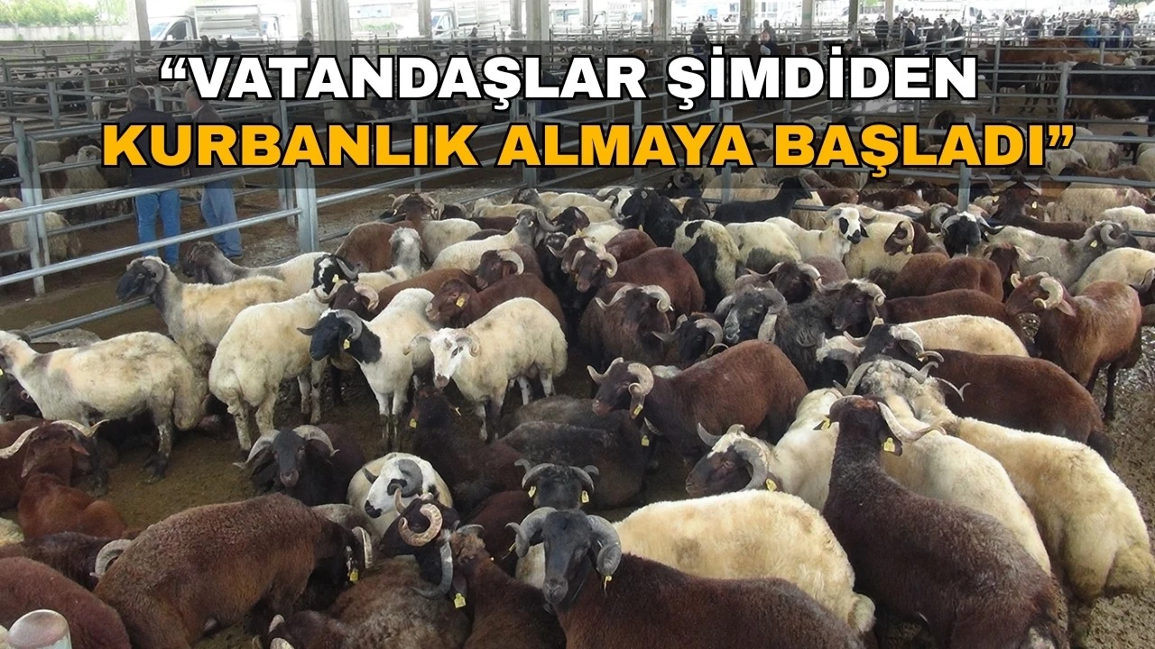 Kurbanlık Fiyatları Stabil Seyrediyor