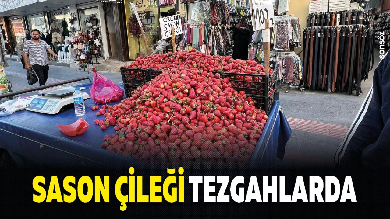 Sason Çileği Pazarları Şenlendiriyor
