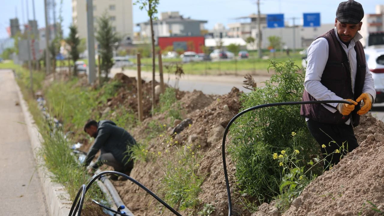Şehir Girişleri Yeşil Kuşakla Donatılıyor