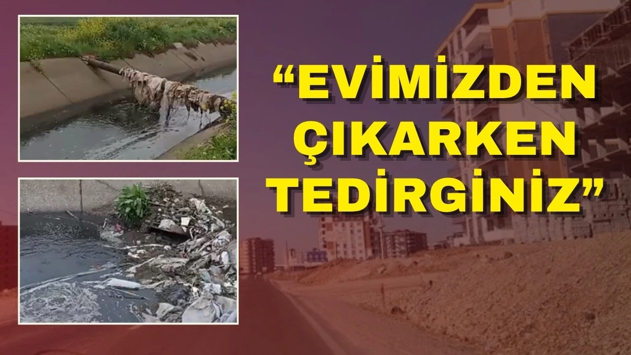 Hasankeyf’te Sivrisinek ve Kirlilik Sorunu