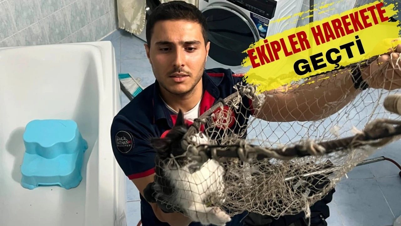 Çamlıtepe’de Havalandırma Boşluğuna Düşen Kedi Kurtarıldı