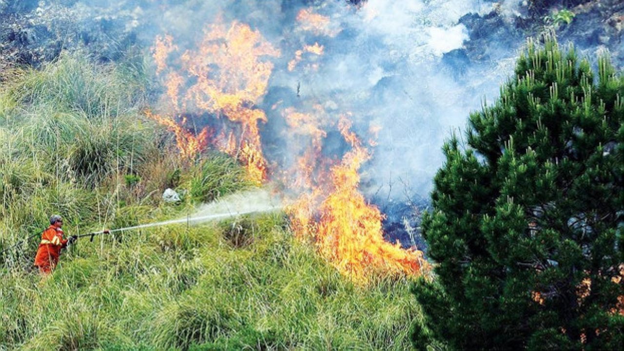 Ormancılar El Nino etkisiyle yangın riskine karşı uyardı