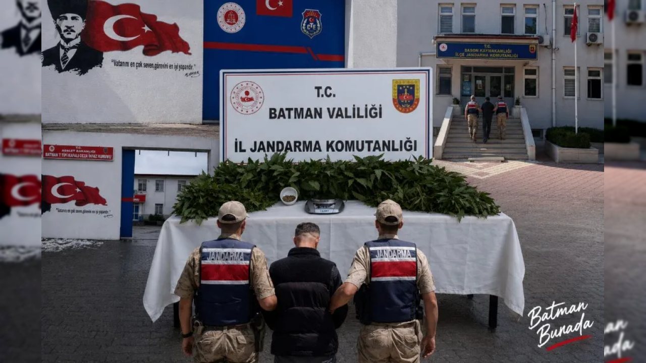 Batman’da jandarma yasa dışı kenevir ekimine operasyon düzenledi