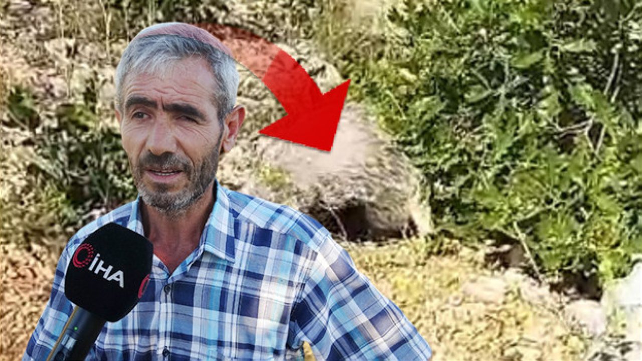 Malatya’da Mantar Toplayan Vatandaş Bal Porsuğuna Müdahale Etti