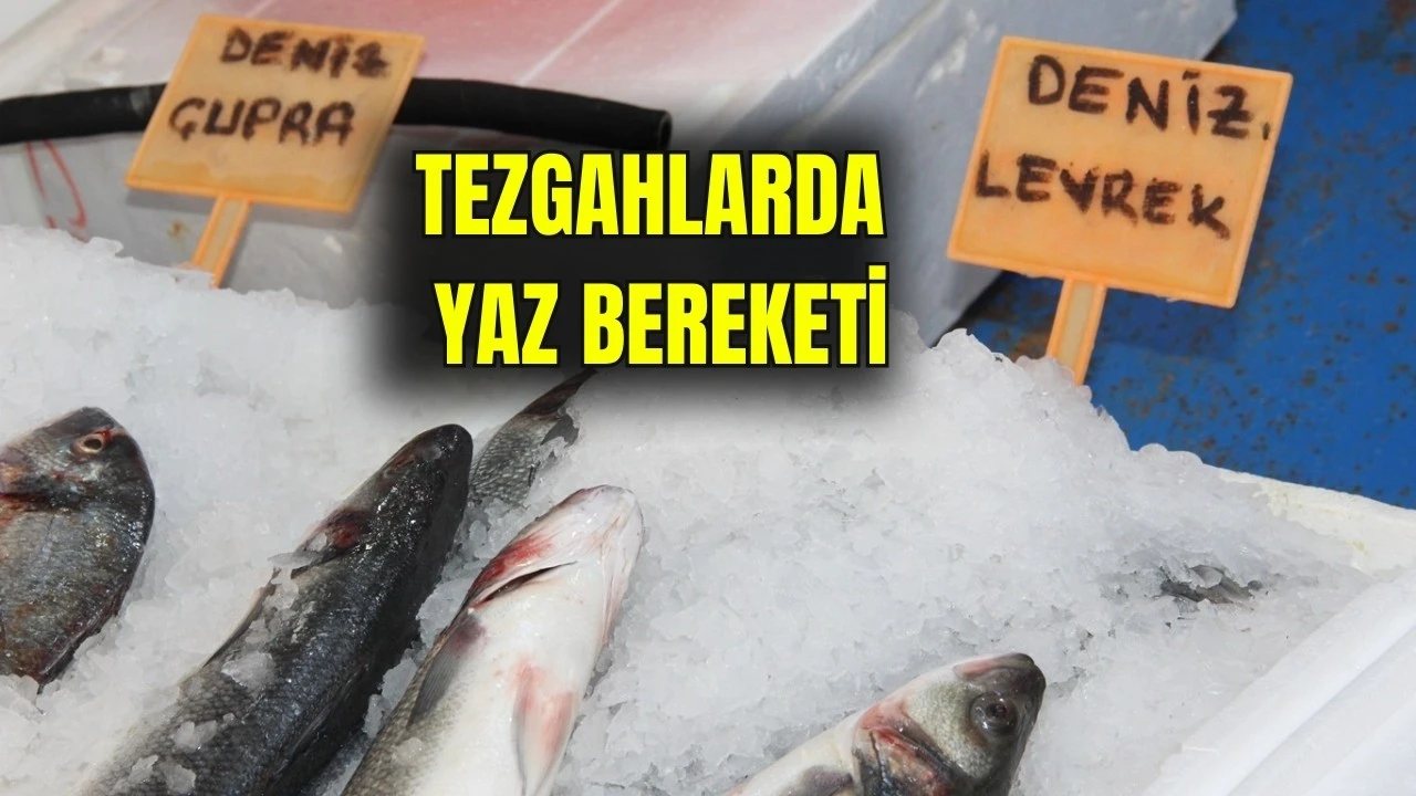 Batman’da Balık Sezonu Sona Ererken Çeşitler Azaldı
