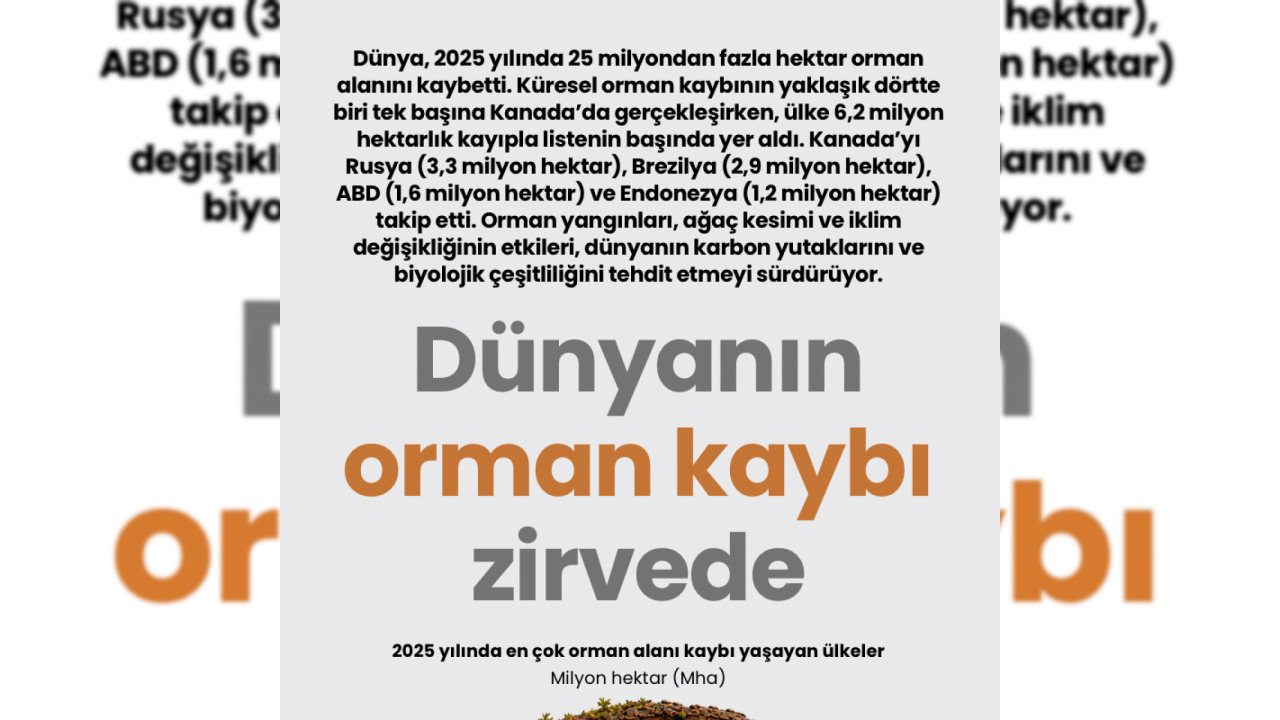 Dünya 2025’te 25 Milyon Hektar Ormanını Kaybetti