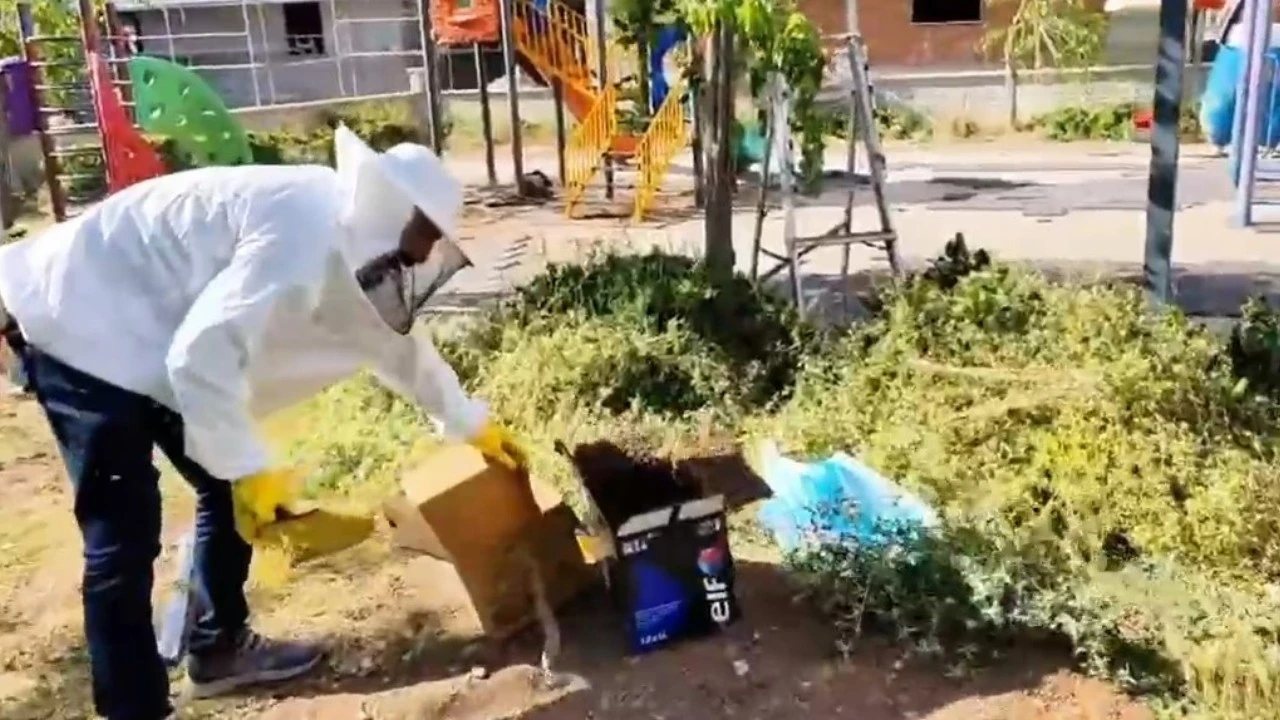Batman’da Arı Kolonisi Korunarak İlaçlama Çalışması Ertelendi