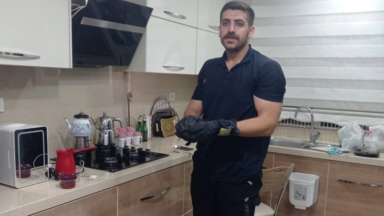 Batman’da eve giren yarasa itfaiye tarafından çıkarıldı