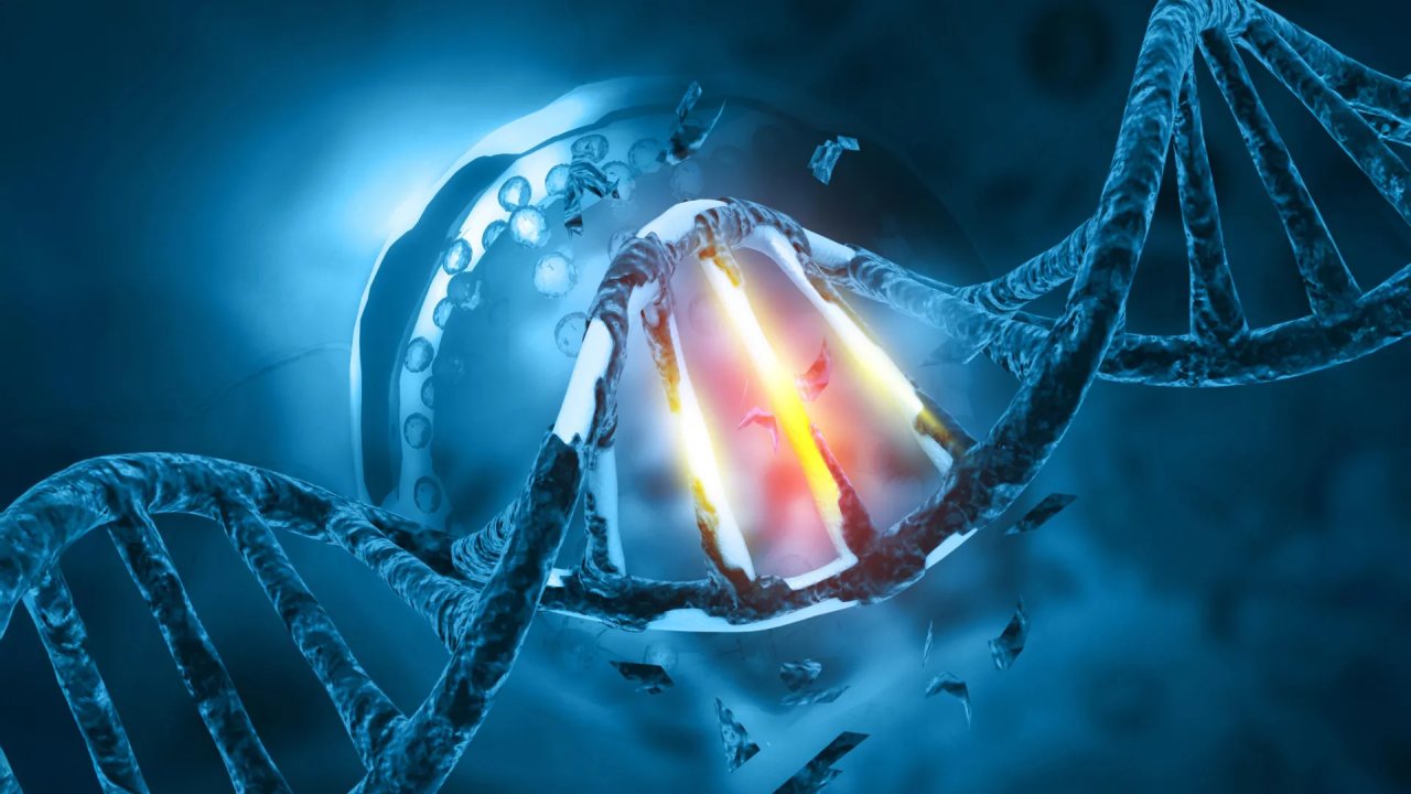 DNA Onarım Geninin Aşırı Üretimi Kanser Riskini Artırıyor