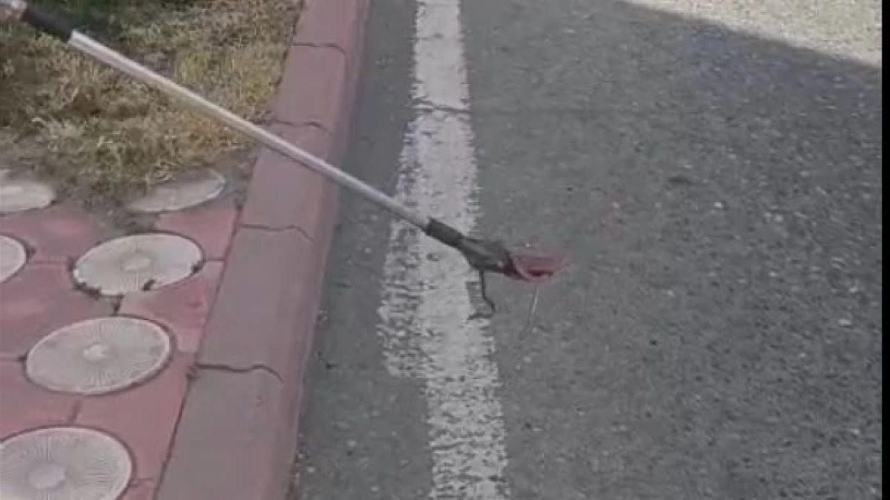 Batman OSB’de Güvenlik Kulübesinde Yılan Görüldü ve Yakalandı