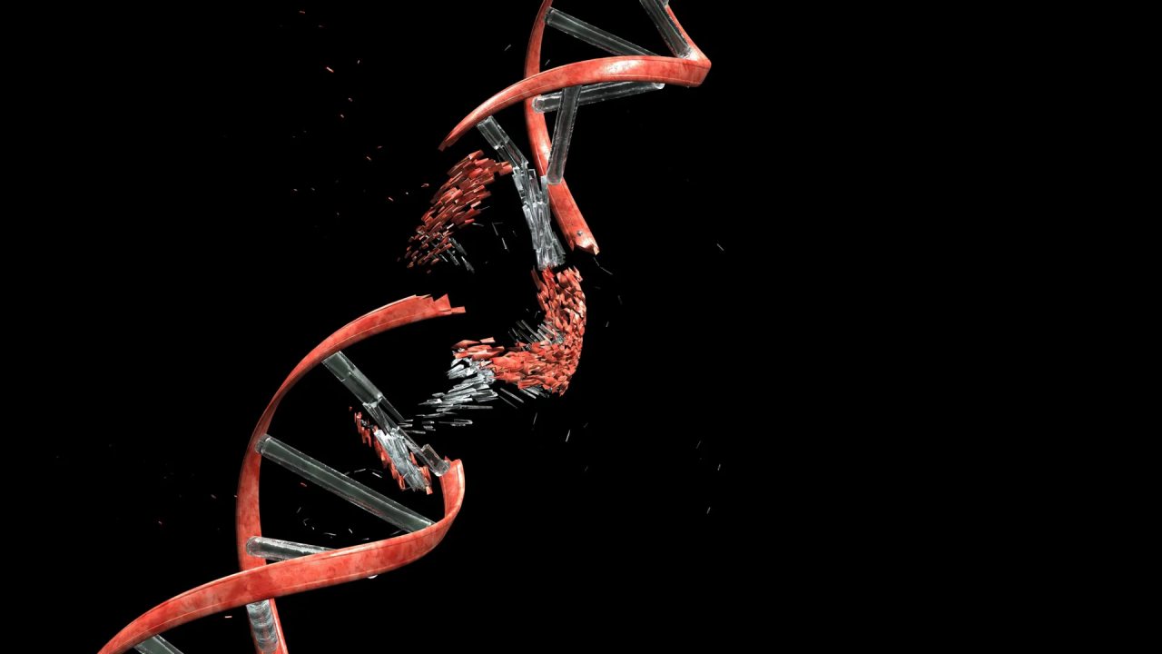 Beyin Gelişiminde Nöronların DNA’sında Kırıklar Oluşuyor