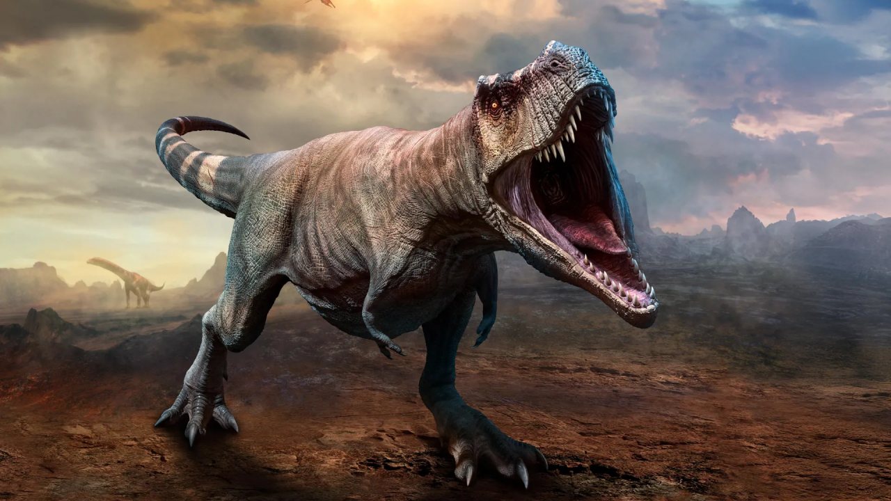 T. rex yaklaşık 40 yılda tam boyutuna ulaşıyordu
