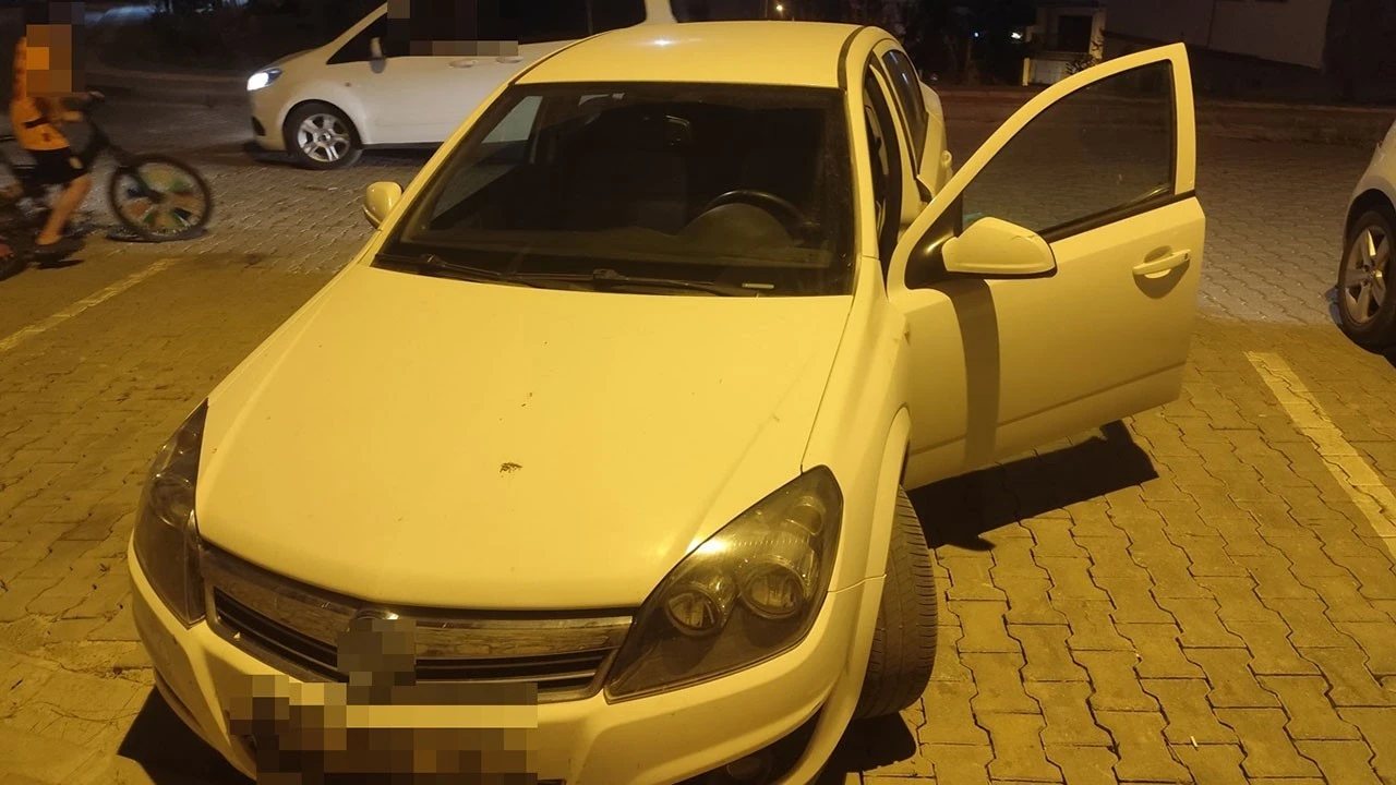 Batman’da Park Halindeki Araçta Bulunan Yılan Korkuttu