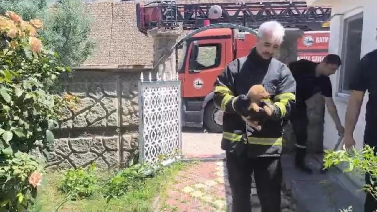 OSB’de Sıkışan Köpek İşçilerin Müdahalesiyle Kurtarıldı