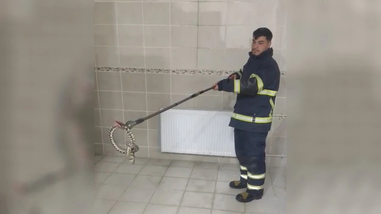 Batman Üniversitesi Rektörlük Binasında Yılan Paniği Yaşandı