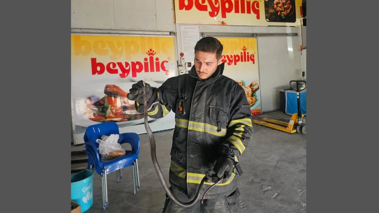 Batman’da Depoya Giren Yılan İtfaiye Ekiplerince Yakalandı