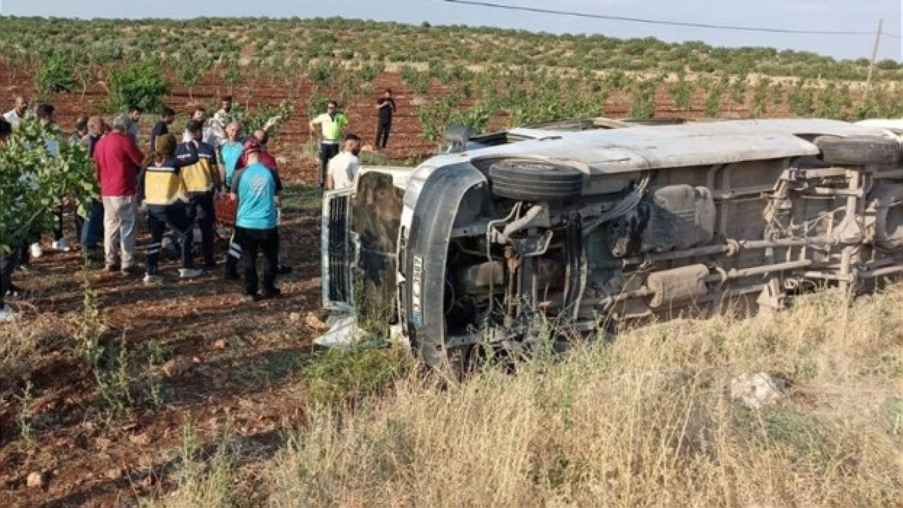 Suruç ve Ereğli’de Tarım İşçilerini Taşıyan Minibüsler Devrildi, Çok Sayıda Yaralı Var