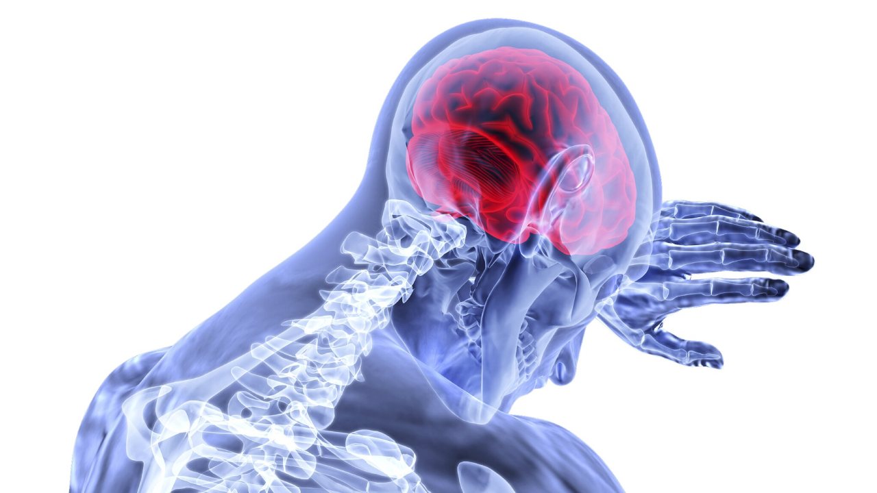 Parkinson Hastalığına Yeni Bir Tedavi Yöntemi Üzerine Araştırmalar
