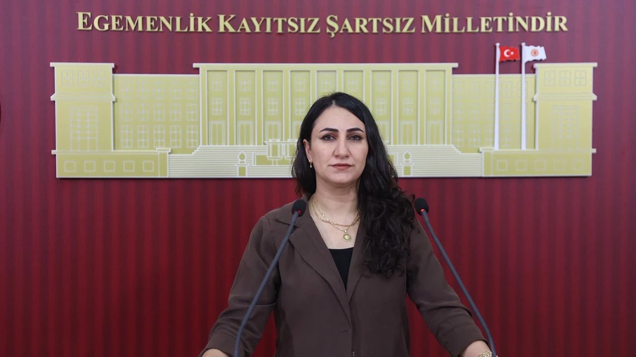 Zeynep Oduncu, Batman’daki Sağlık Sorunlarını Meclis’te Gündeme Getirdi