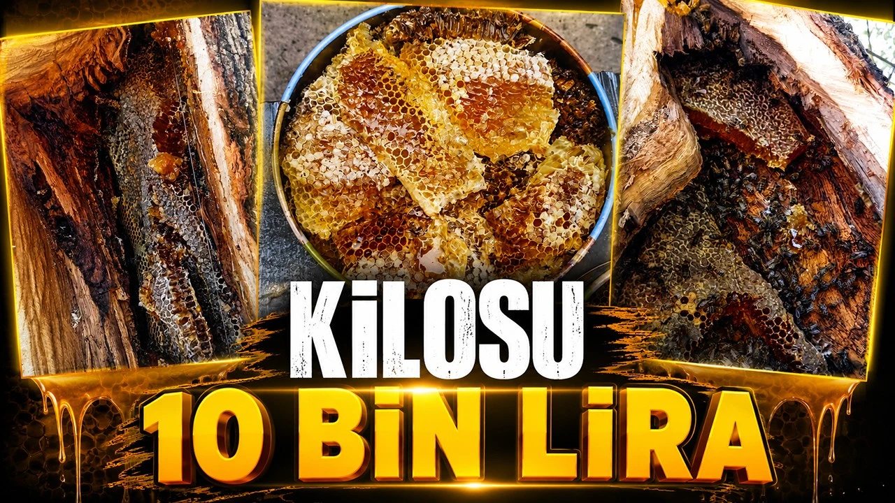 Sason’da Doğal Balın Kilogramı 10 Bin Lira