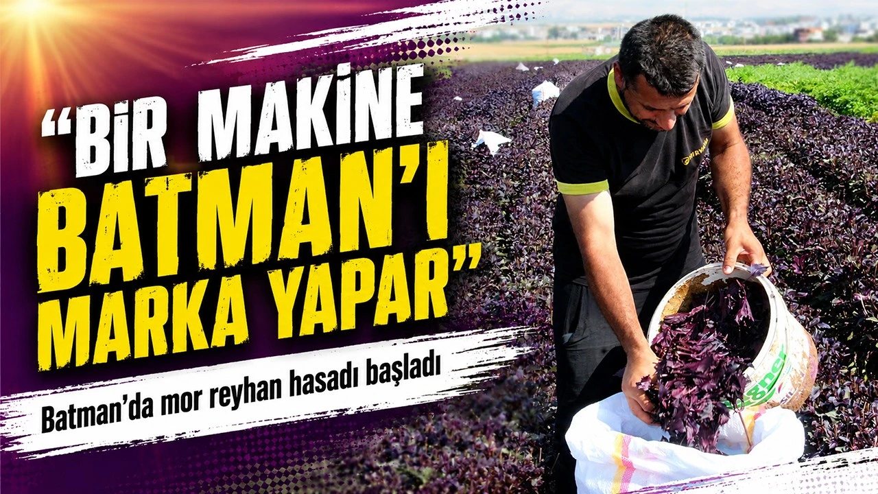 Batman’da Mor Reyhan Üreticilerinden Destek Çağrısı