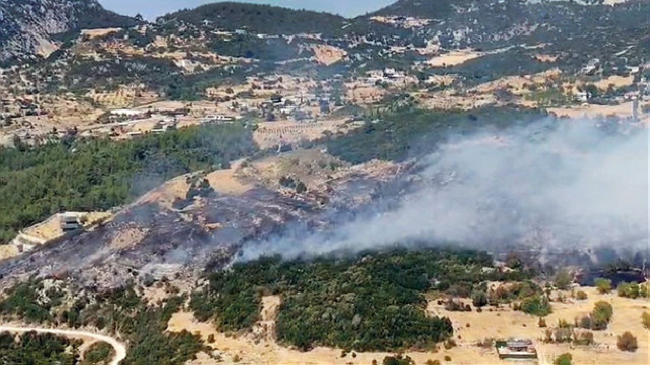 Orman Yangınlarıyla İlgili 73 Soruşturma ve 12 Tutuklama
