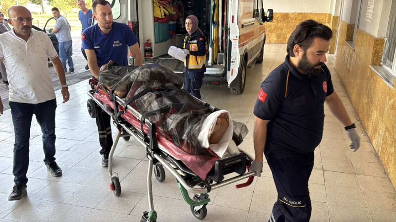 Sivas’ta Ayı Saldırısında Çoban Yaralandı