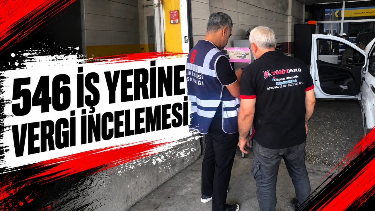 Batman’da 546 İş Yerine Vergi Denetimi Yapıldı