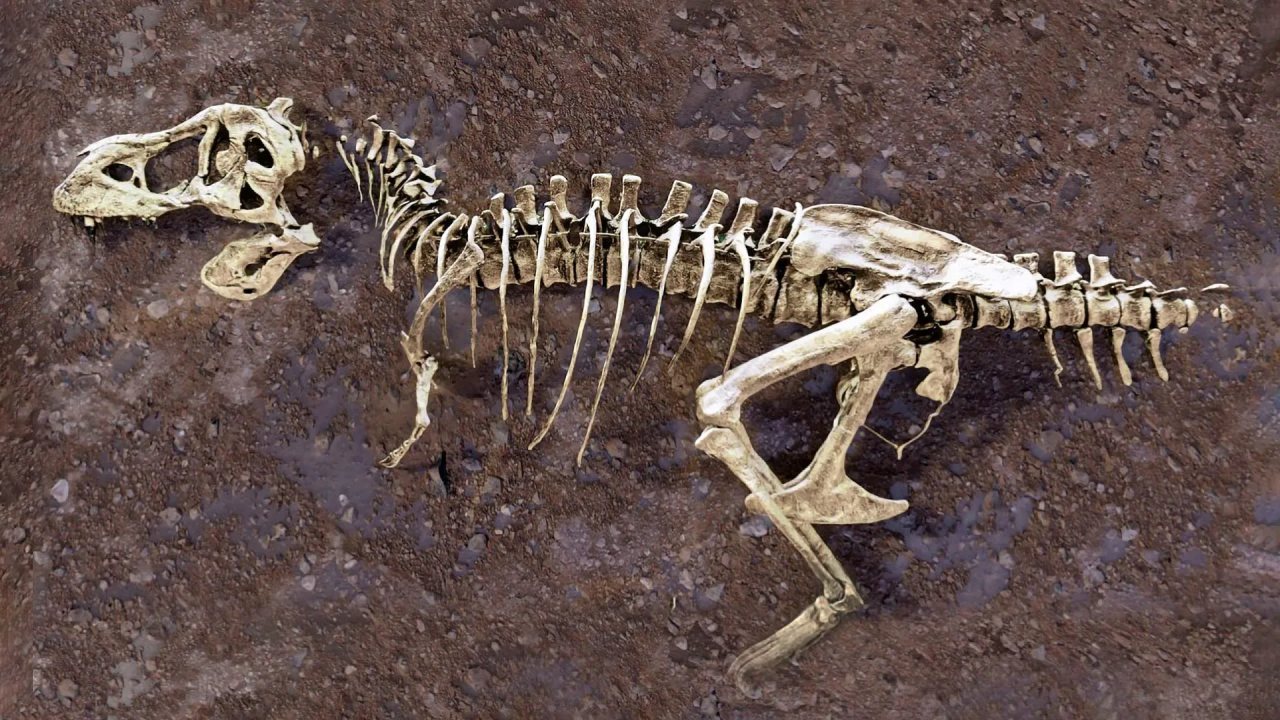 Dinozorun Kırık Kaburgasında 66 Milyon Yıllık Sır Ortaya Çıktı