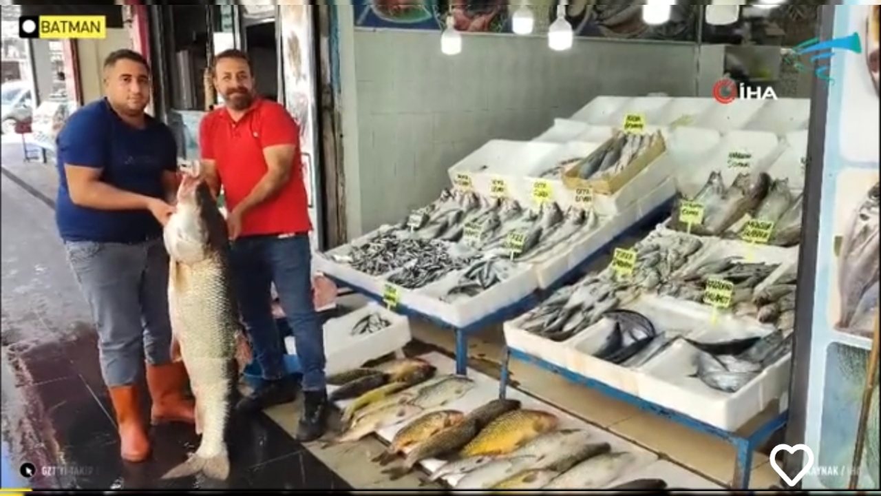 Siirt’ten Getirilen 1,5 Metrelik Turna Balığı Batman’da Satışta