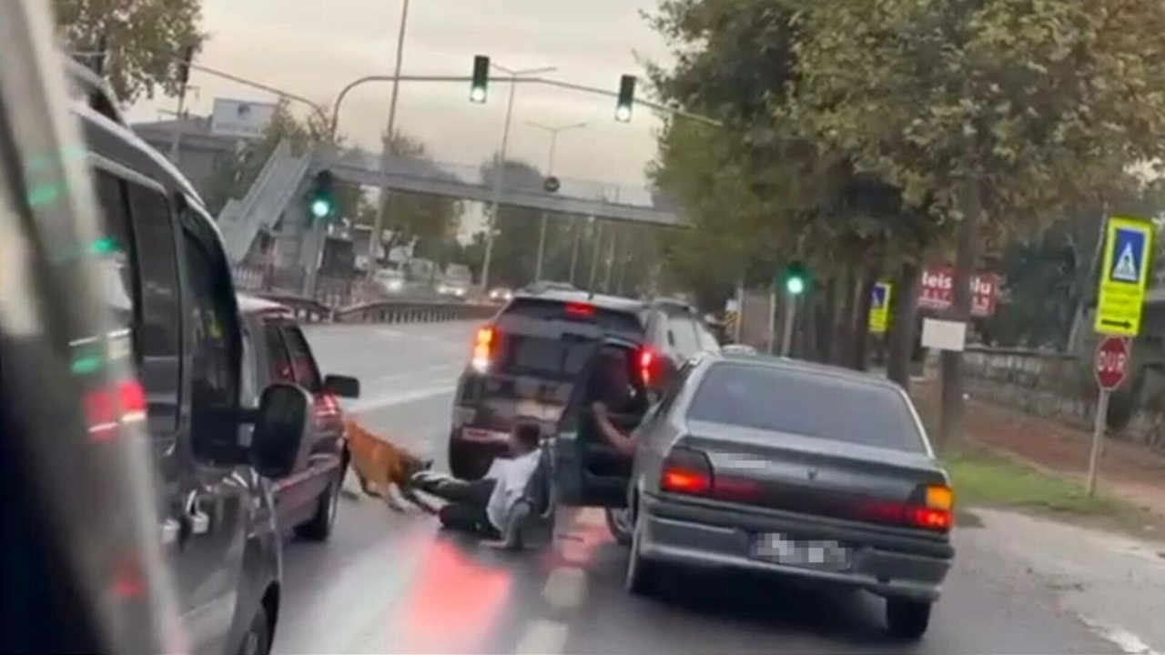 Zinciri Kopan Köpek Yürüyen Adamı Isırdı