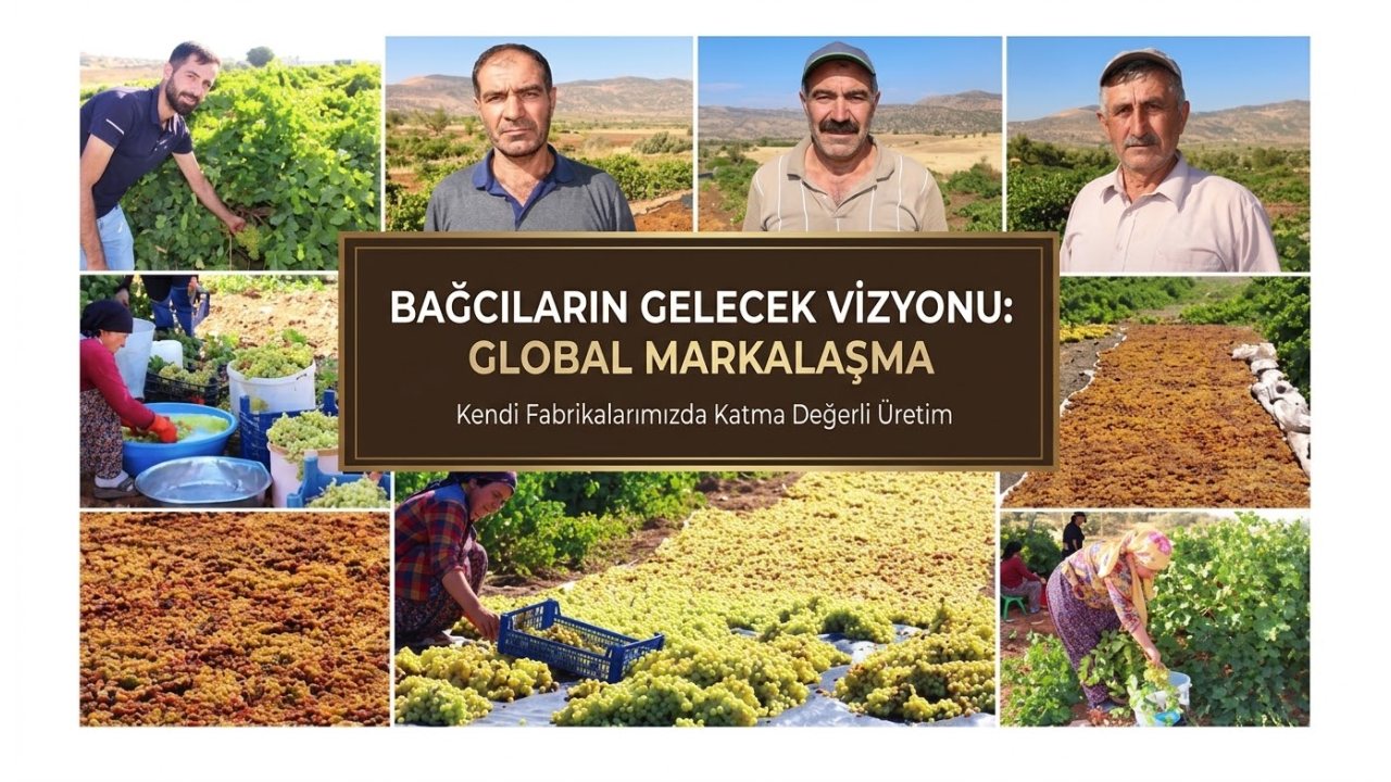 Gercüş’teki Üreticiler Kuru Üzüm Tesisi İstiyor