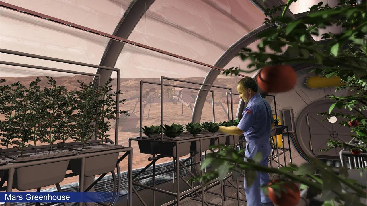 Mars’ta Tarım İçin Fungal Çözümler Üzerinde Çalışmalar Devam Ediyor