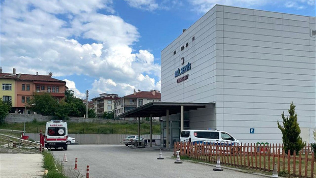 Kastamonu’da Ağaç Keserken Arı Sokması Sonucu İşçi Hayatını Kaybetti