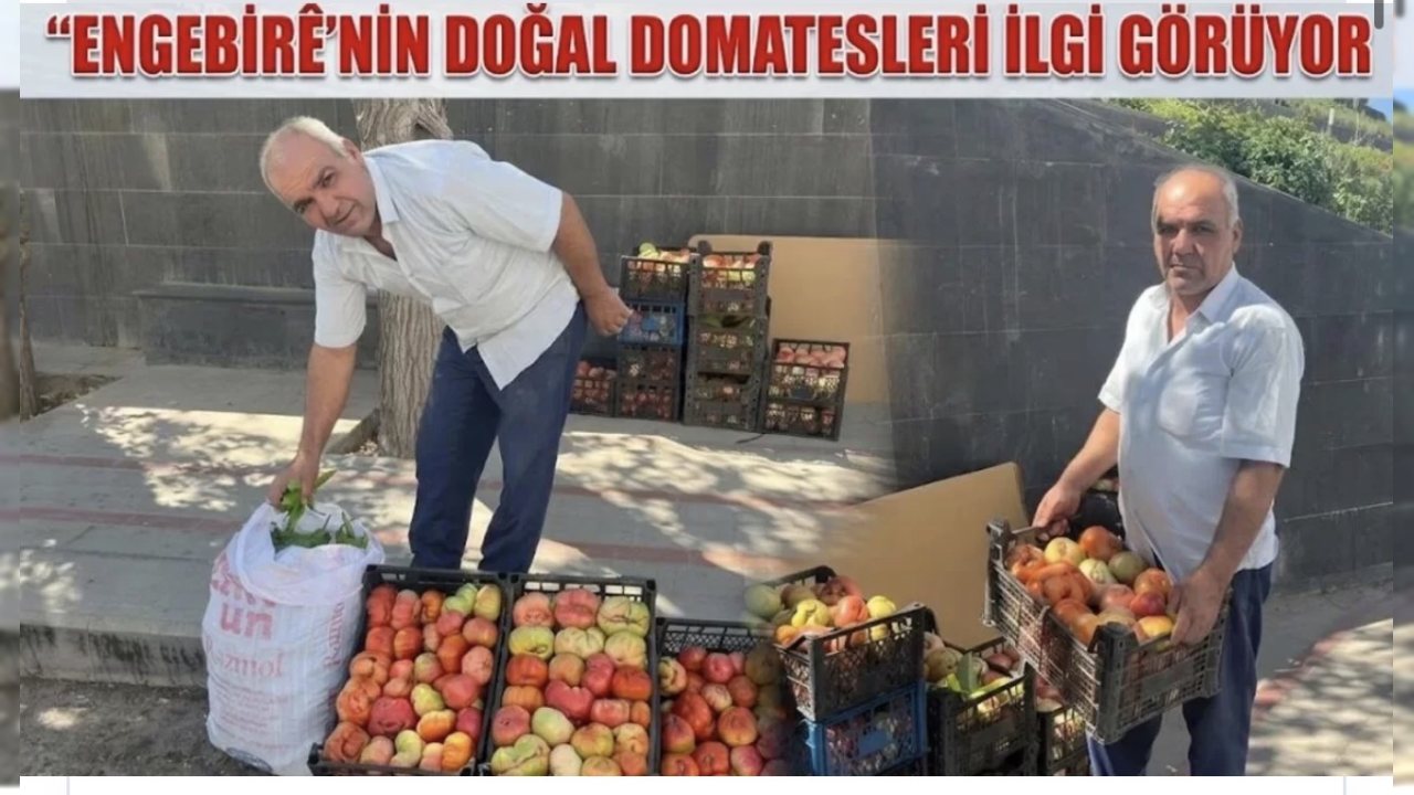 Kozluk Domatesi Batman Pazarında Yoğun İlgi Görüyor