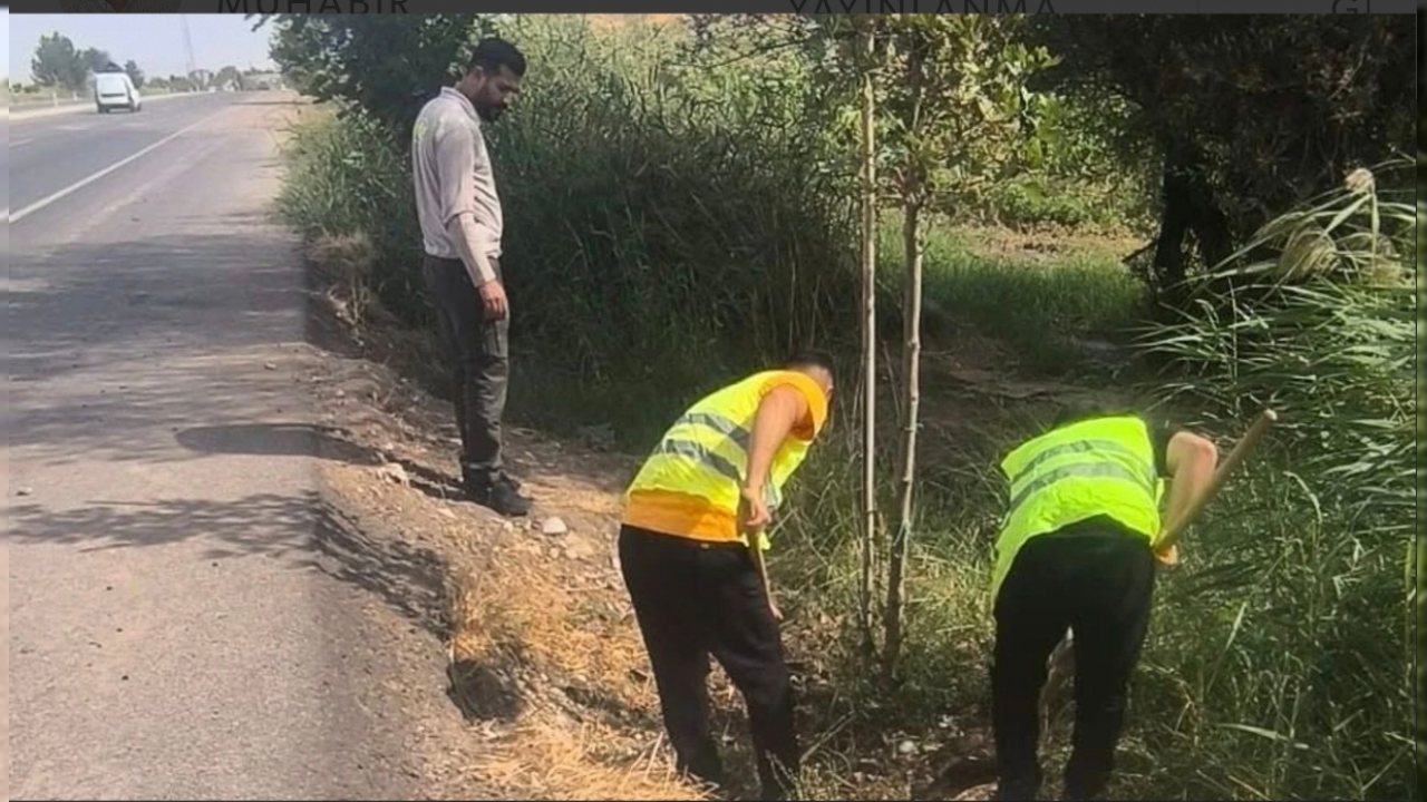 Batman’da Fidan Sulama ve Yangın Önleme Çalışmaları Devam Ediyor