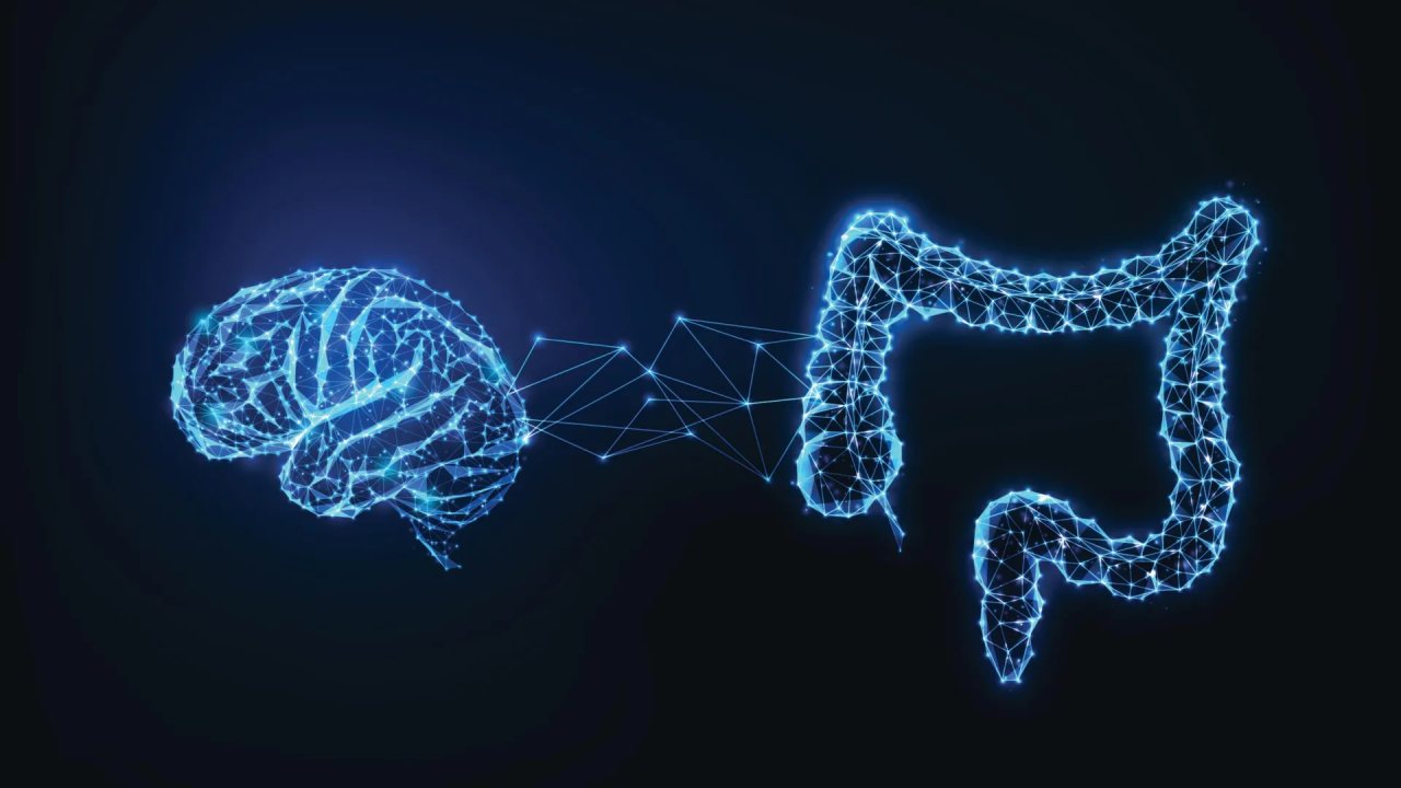 Bağırsak Bakterisi Alzheimer Riskini Artırıyor