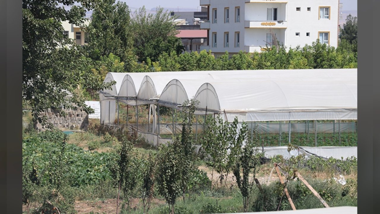 Batman’da Sera OTB Projesinin İlk Etabı Başladı