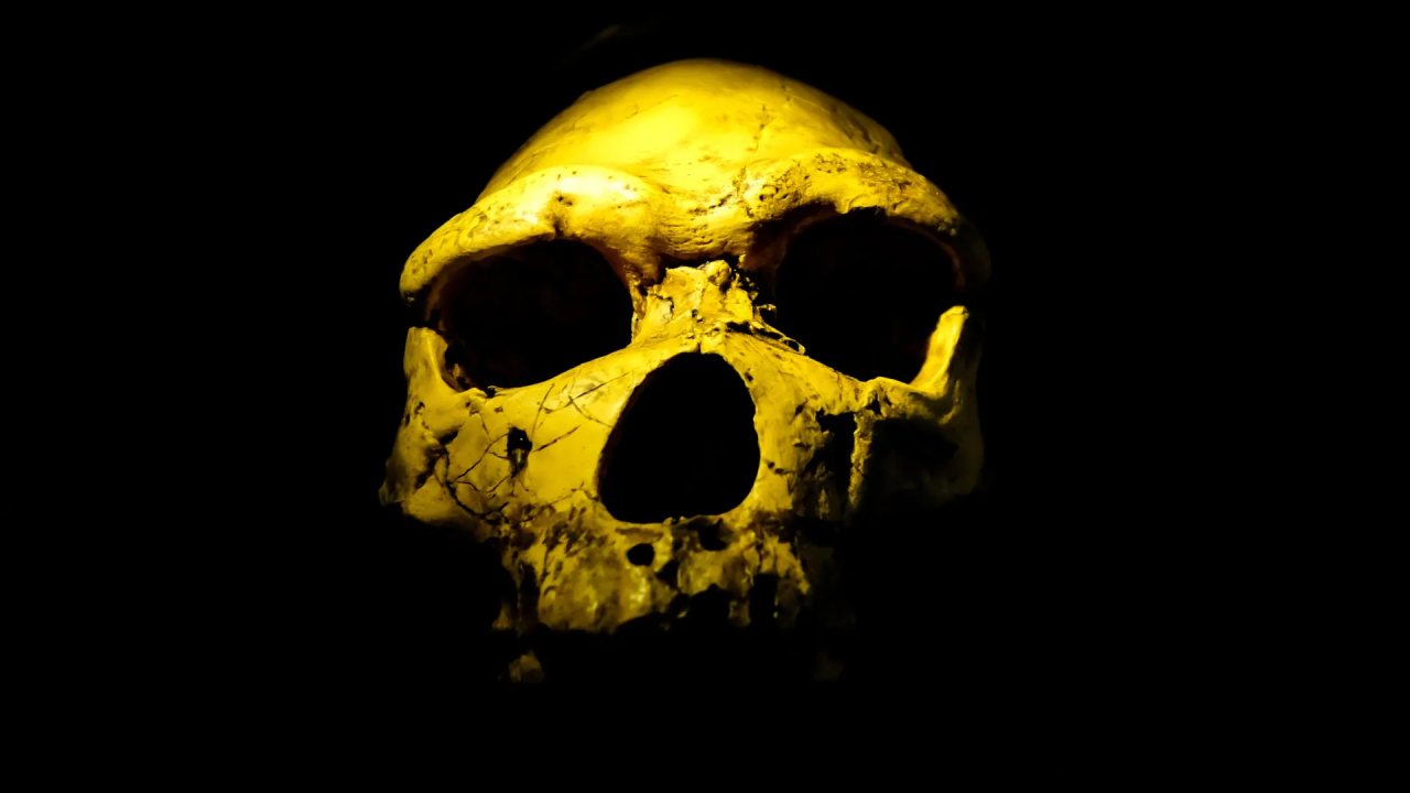 Homo Erectus Fosilleri, 200.000 Yıl Daha Önce Ortaya Çıktı