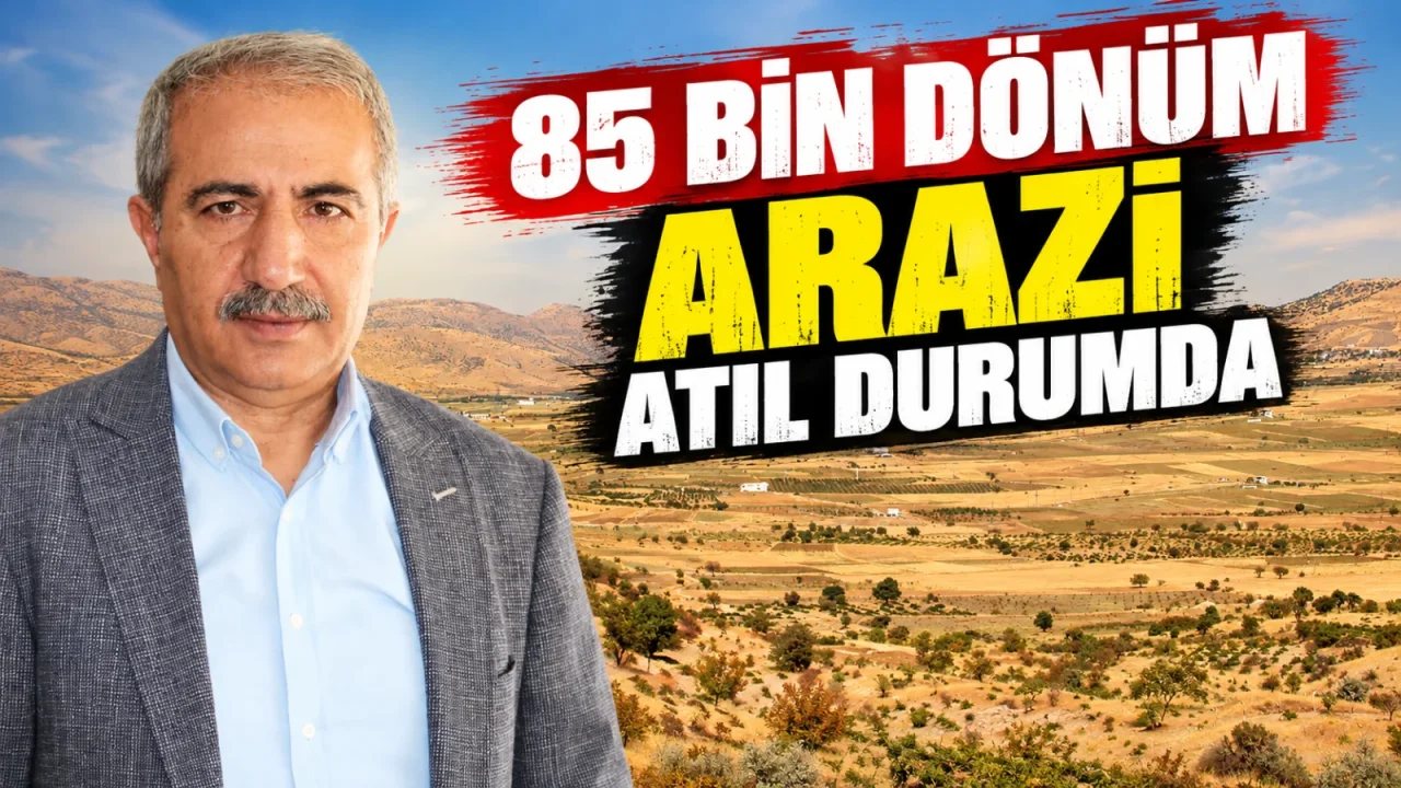 Gercüş’te 85 Bin Dönüm Arazi Atıl Kaldı