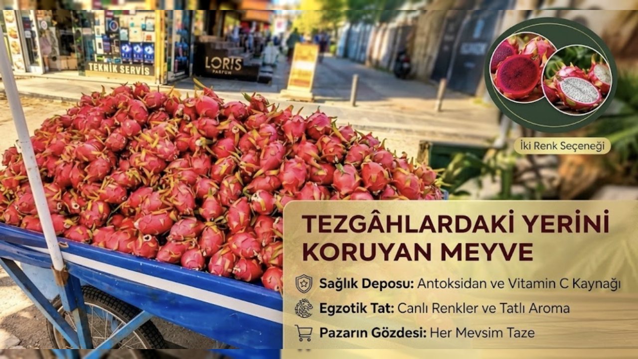 Batman’da Ejder Meyvesi 250 TL’den Satışta