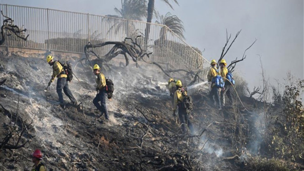 California’da Orman Yangını Altı Evi Yaktı