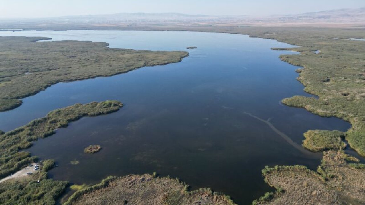 Eber Gölü ve Sarıcaova’da Yaban Hayatı Araştırılıyor