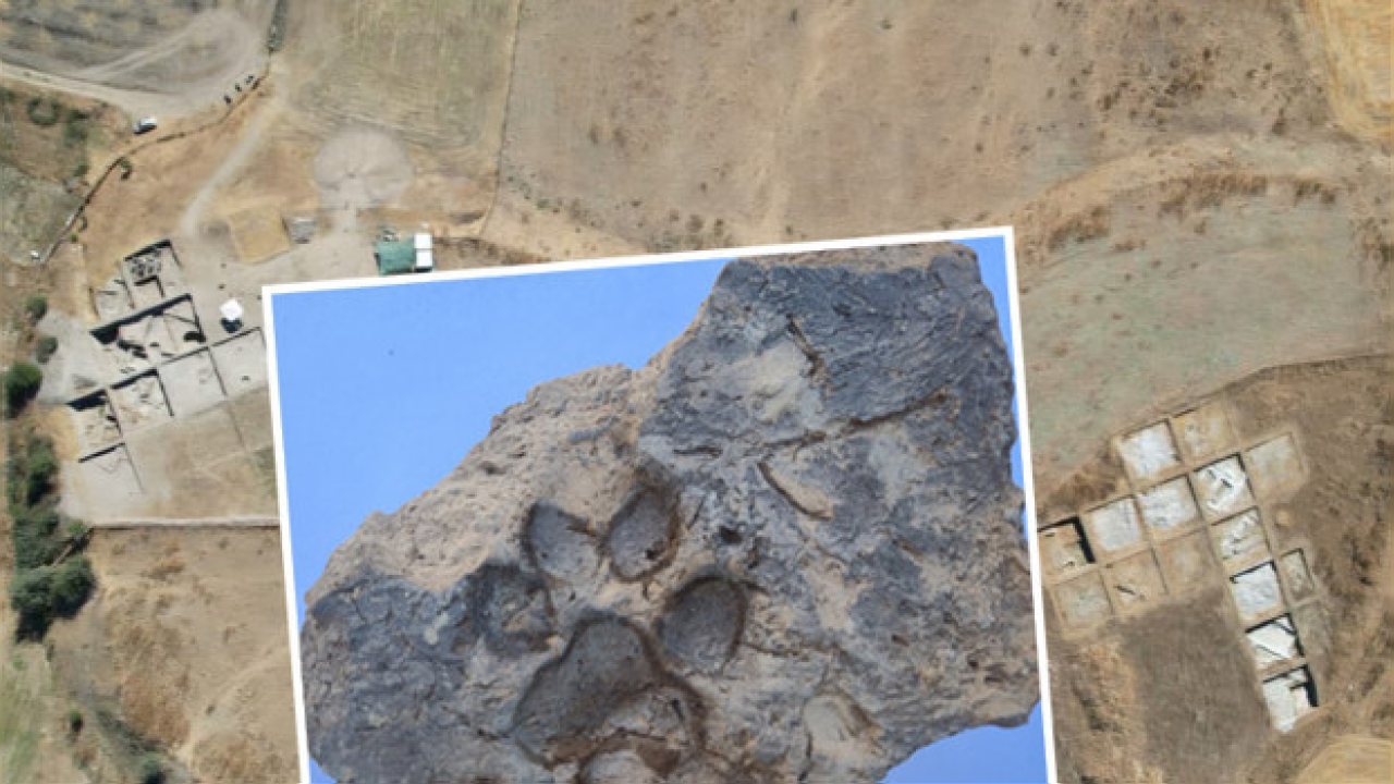 Kütahya’da 4.000 Yıllık Köpek Pati İzi Bulundu